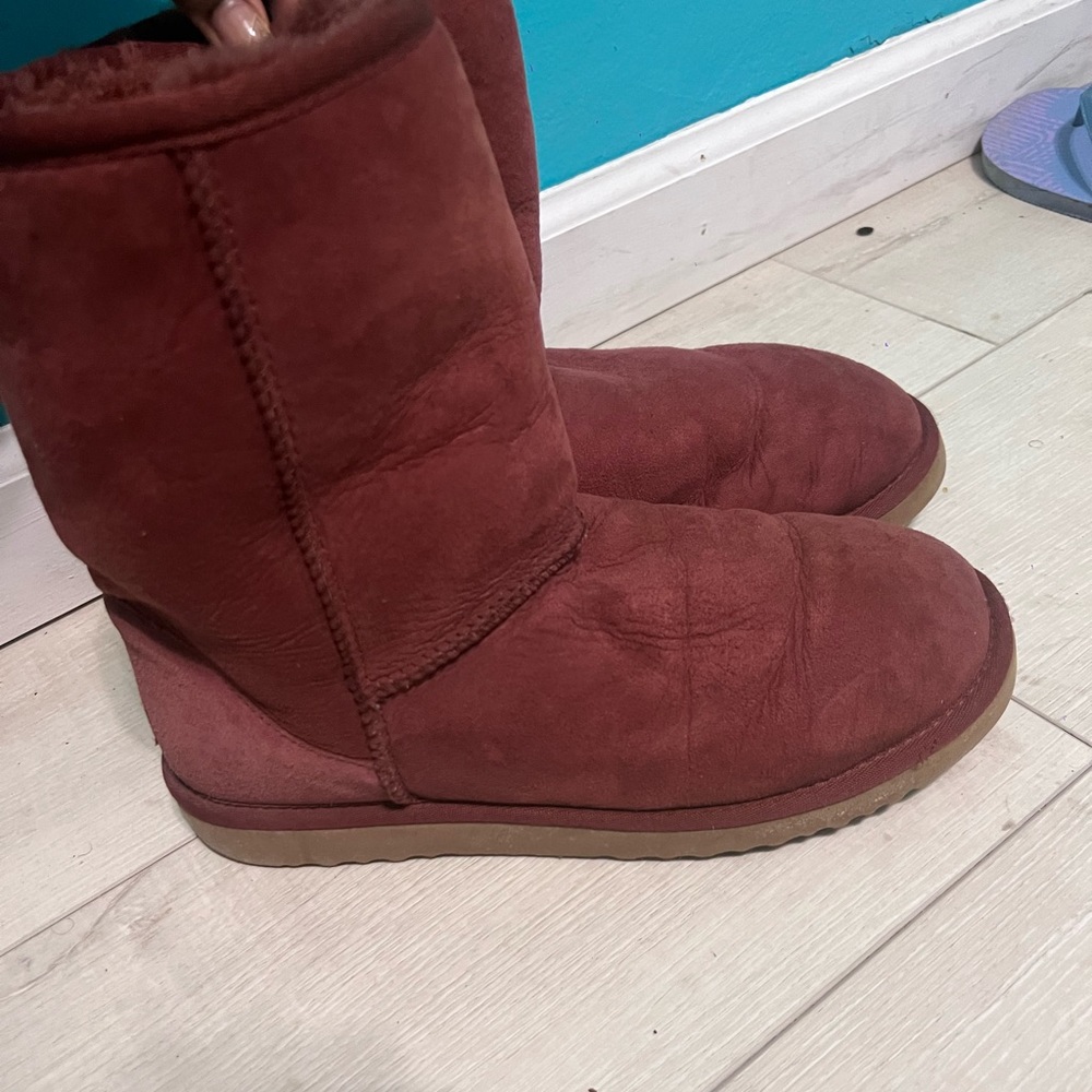 Burgundy short classic uggs